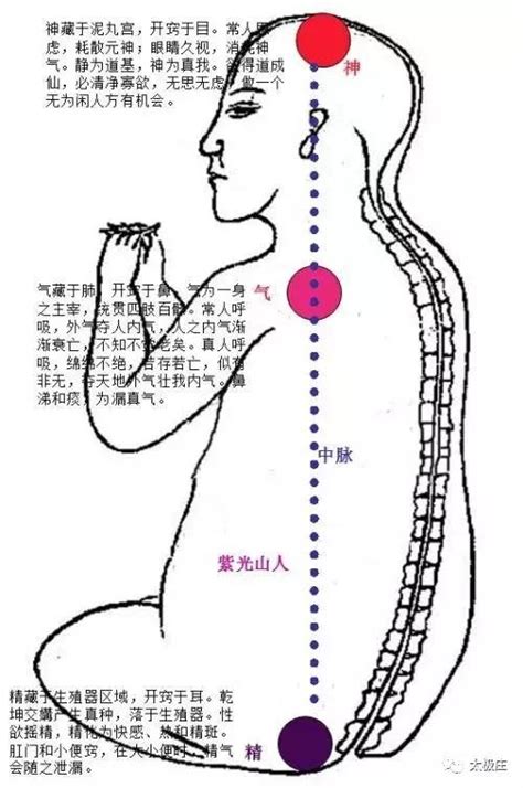 玄關竅位置|大藏經釋義—普渡收圓驗證—玄關修持觀(204)—如何。